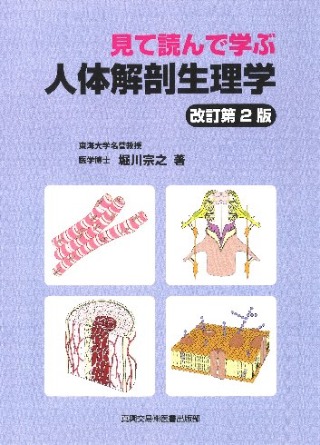 人体解剖生理学